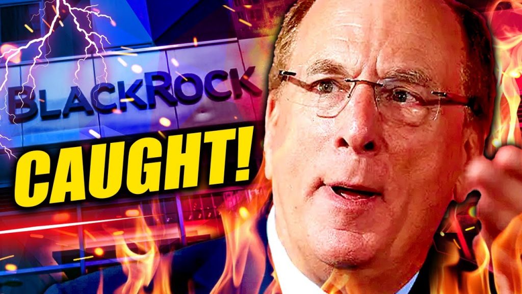 BlackRock Just Got EXPOSED!!!