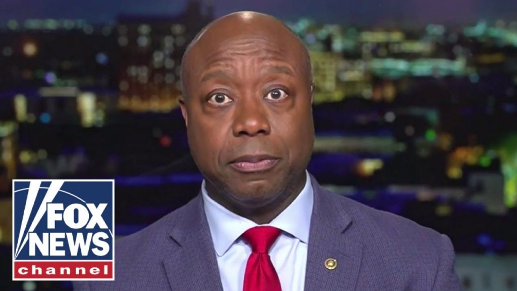 STUNNED’ Tim Scott reacts to Biden comments, says they are ‘disgusting and despicable’